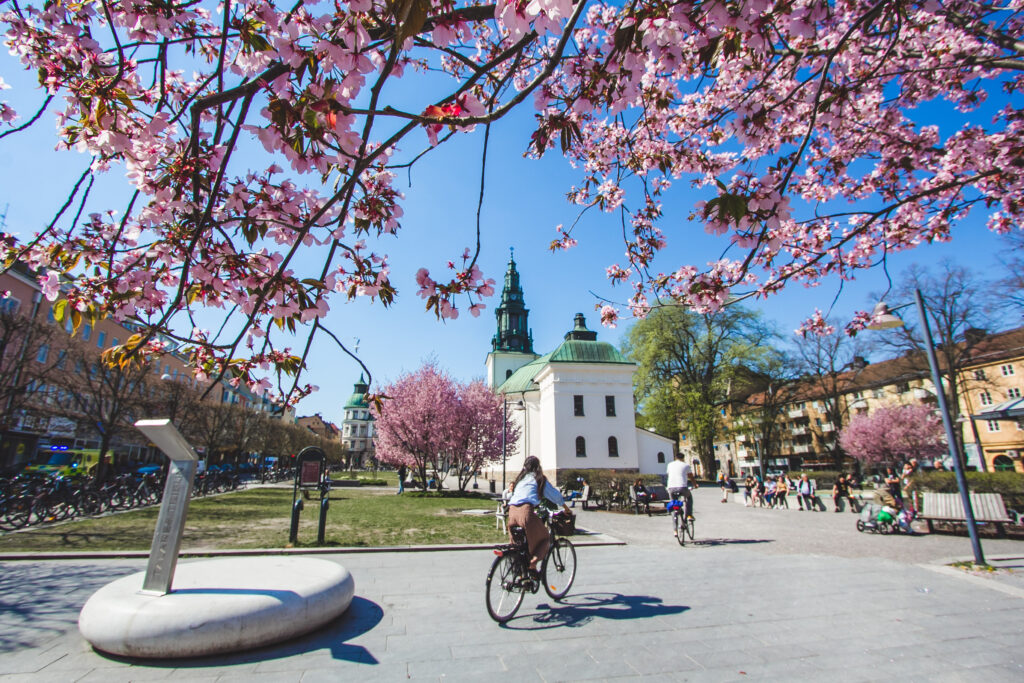 vy över Sankt Larstorget